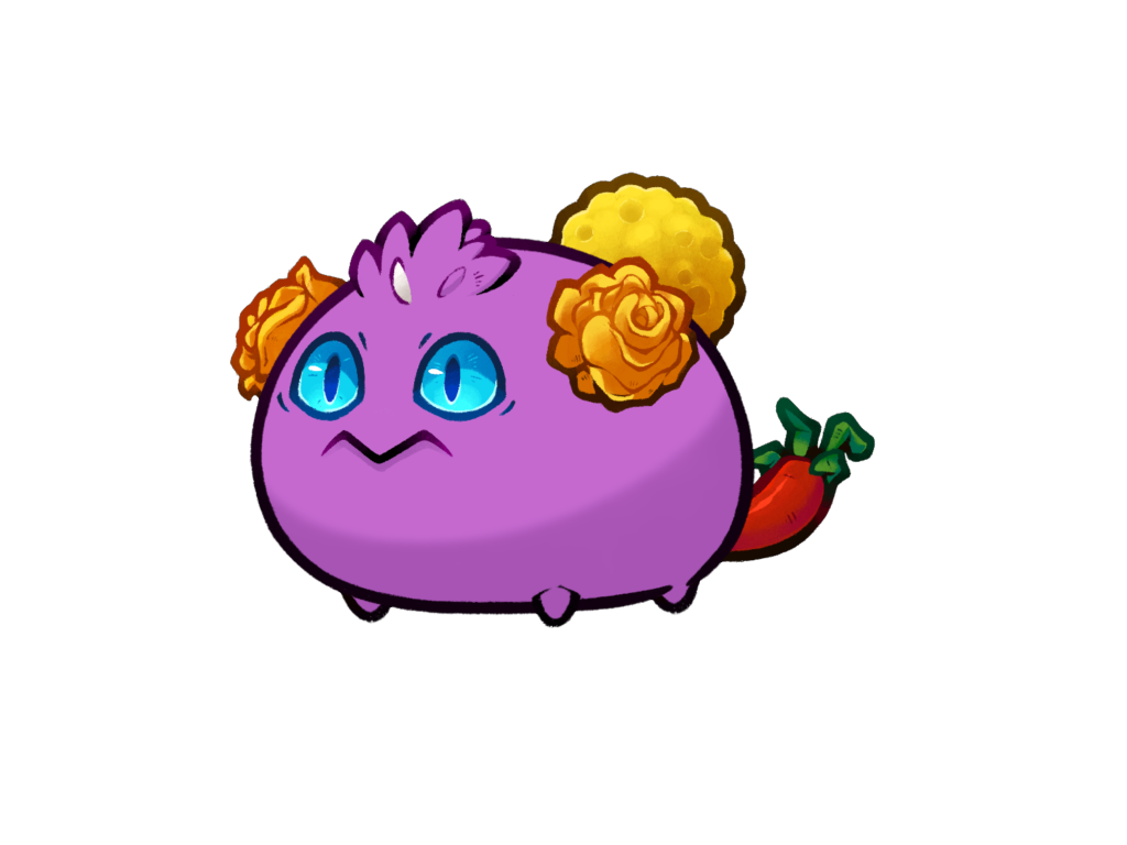 Axie Image