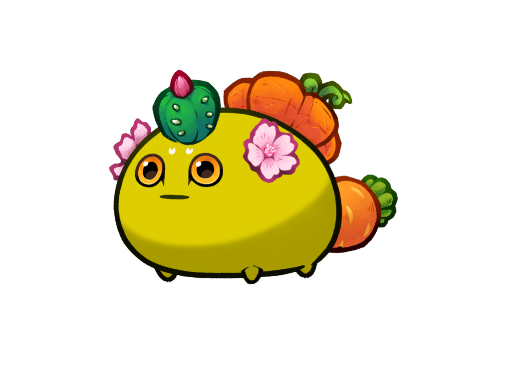 Axie Image