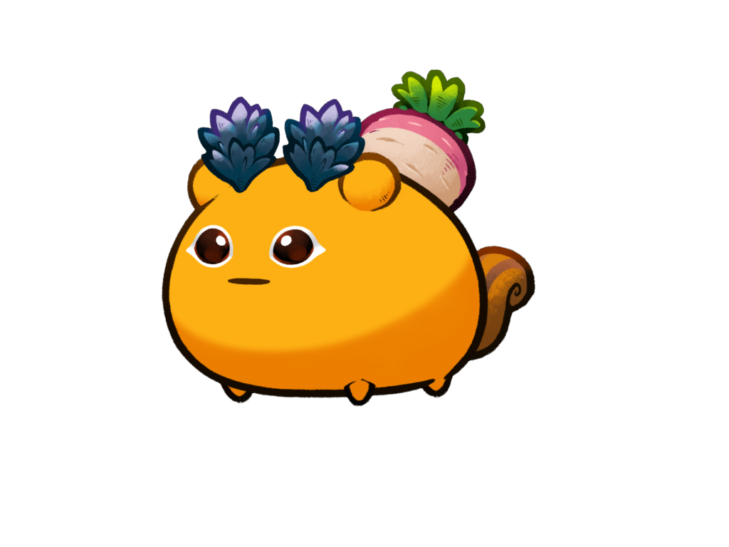 Axie Image