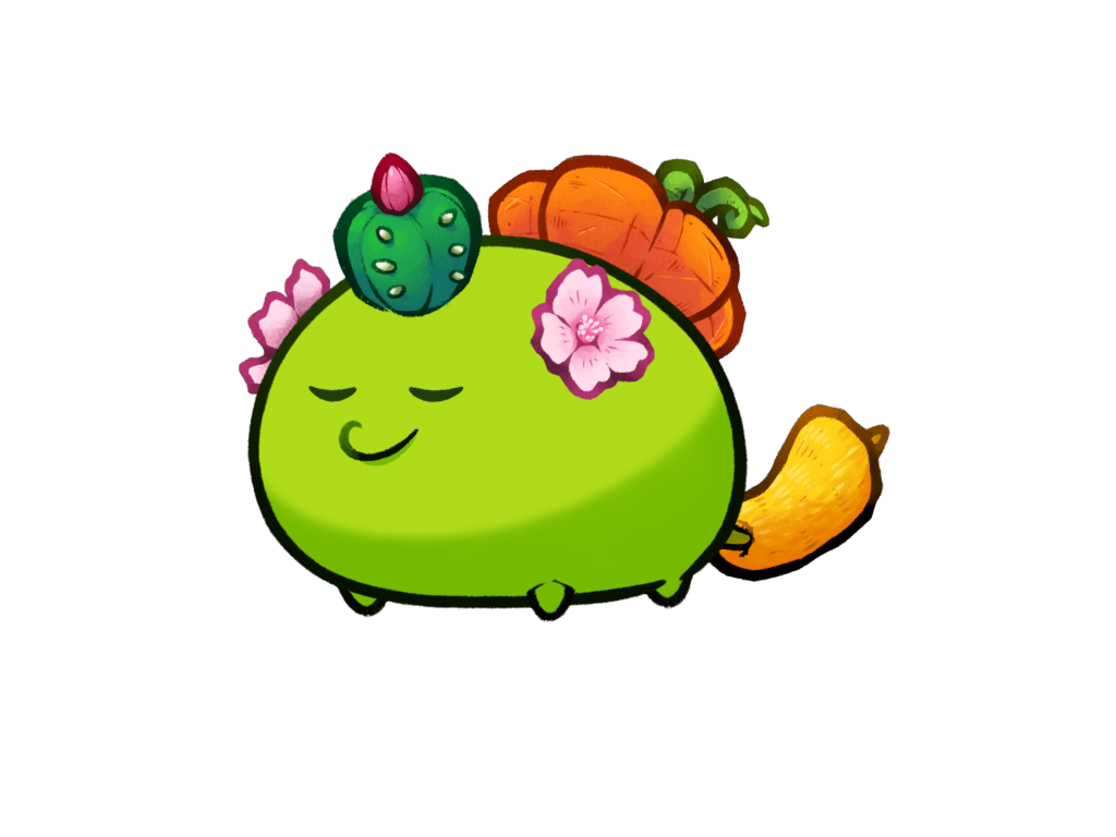 Axie Image