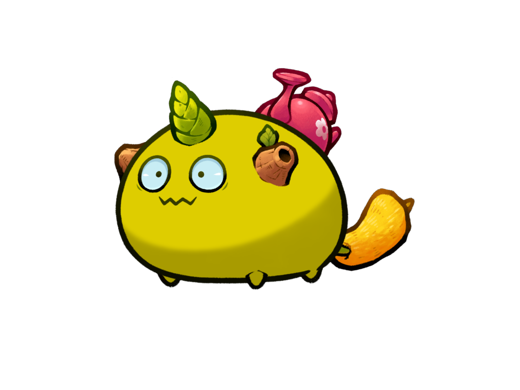 Axie 1044837