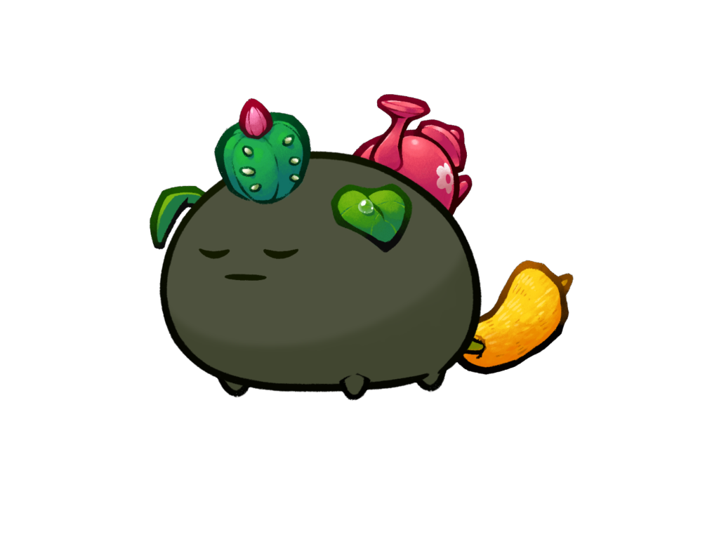 Axie 10507609