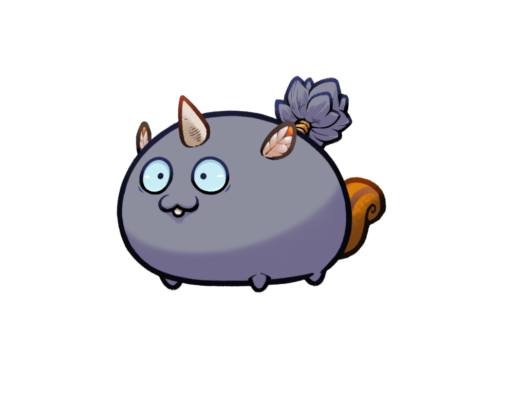 Axie 10534959