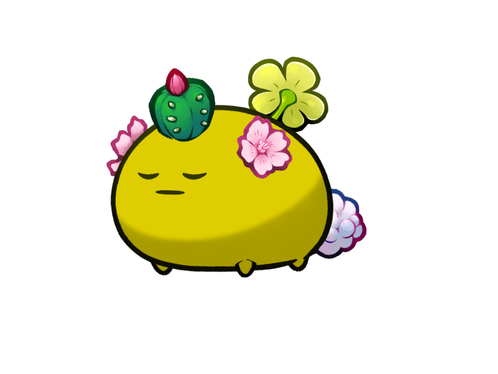Axie Image