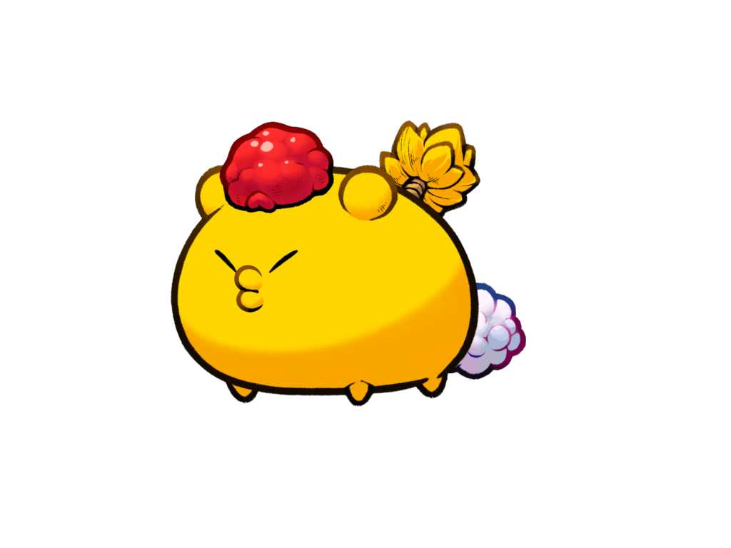 Axie Image