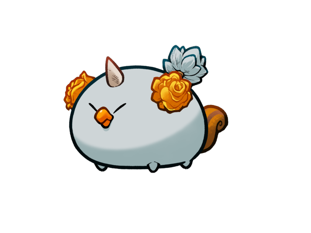 Axie 10565065