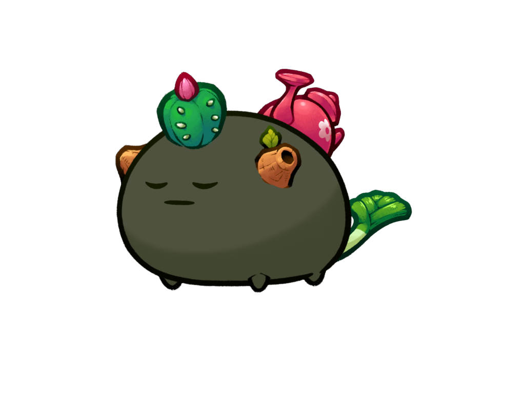 Axie Image