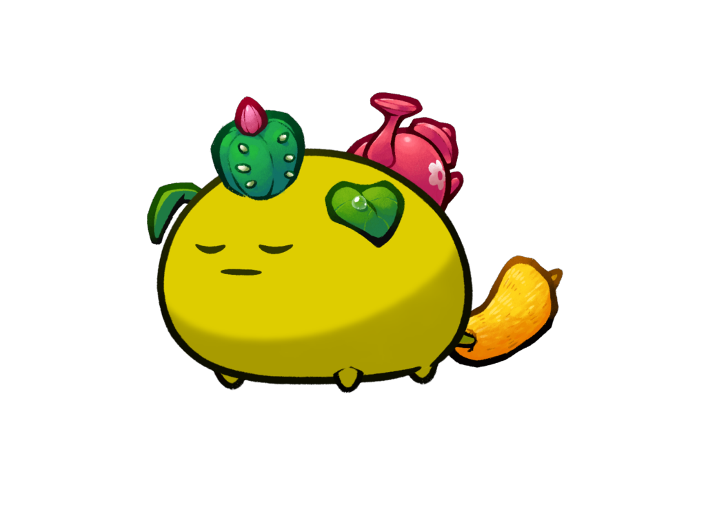 Axie Image