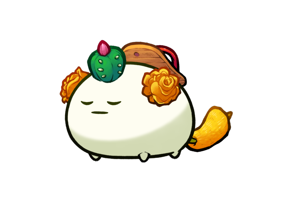 Axie Image