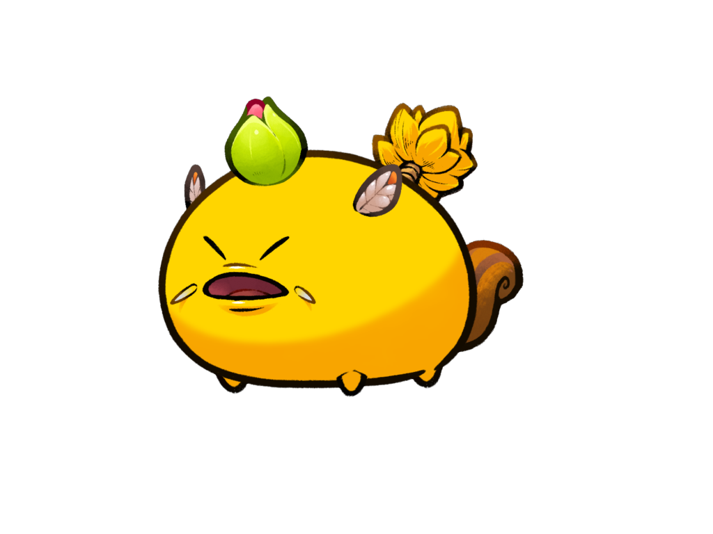 Axie Image