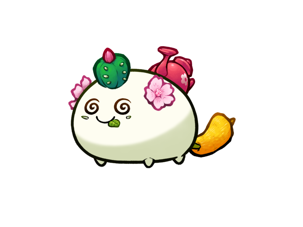 Axie 11055658