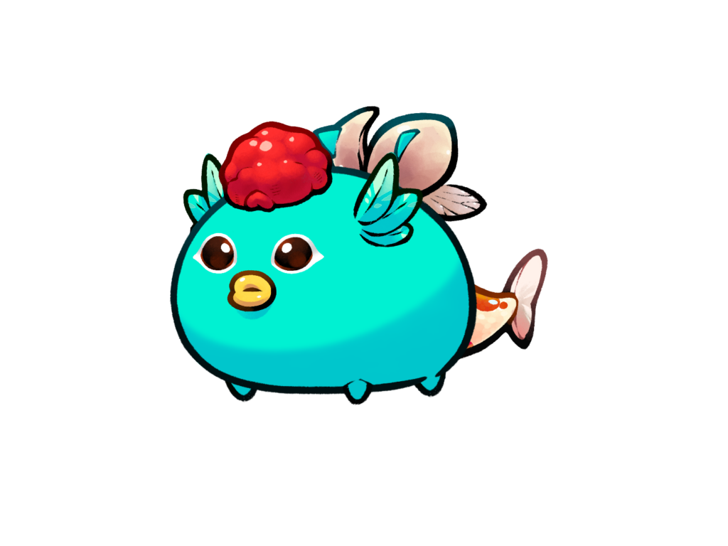Axie 11058137