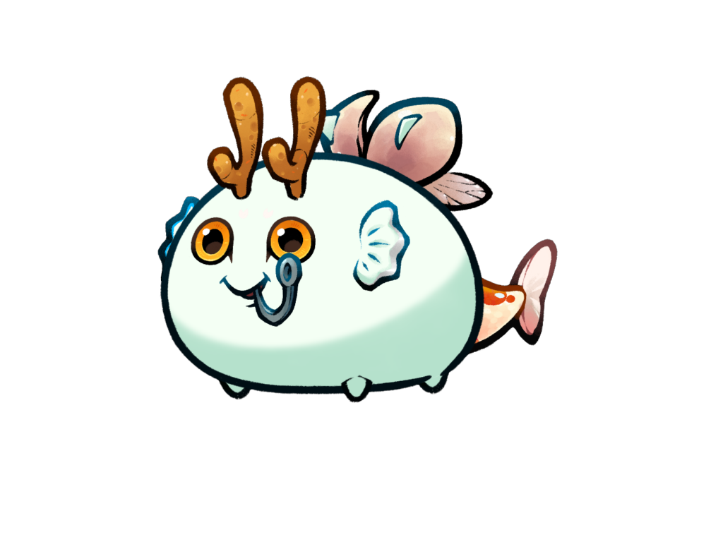 Axie 11058646