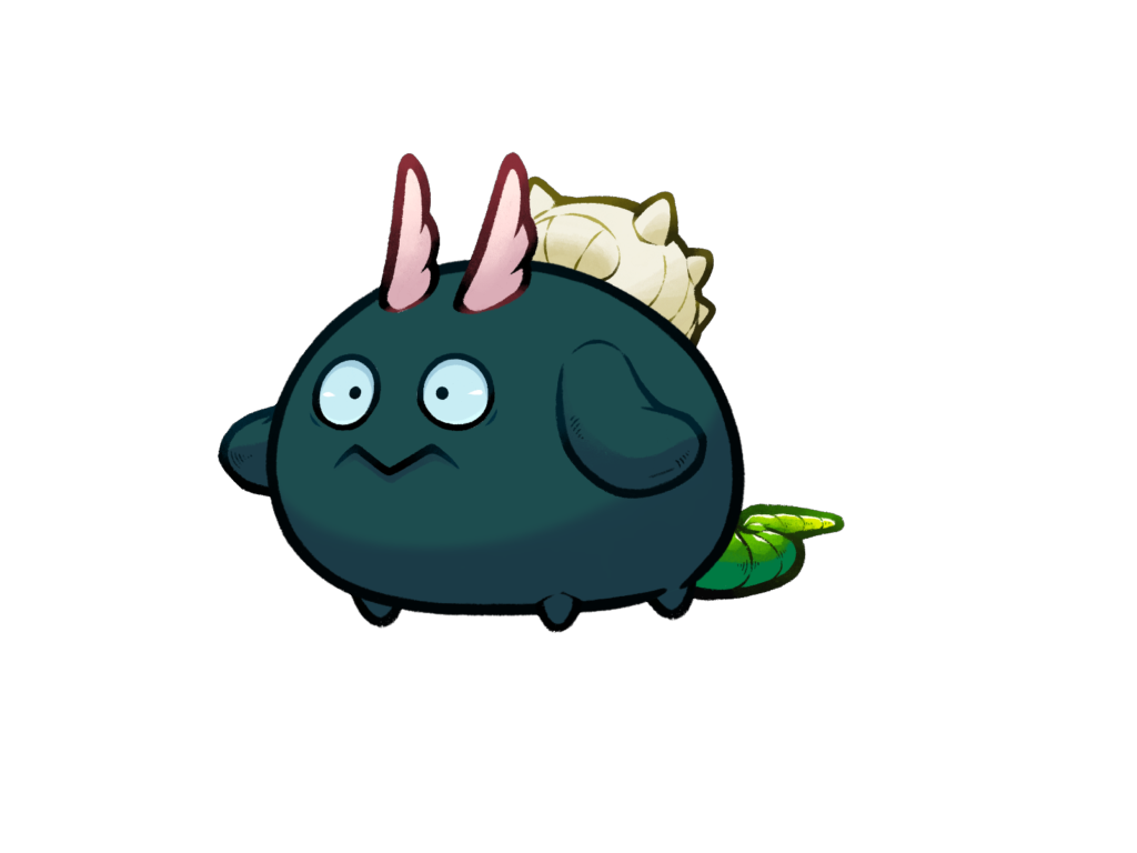 Axie 11067891