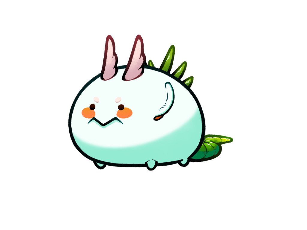 Axie 11072953