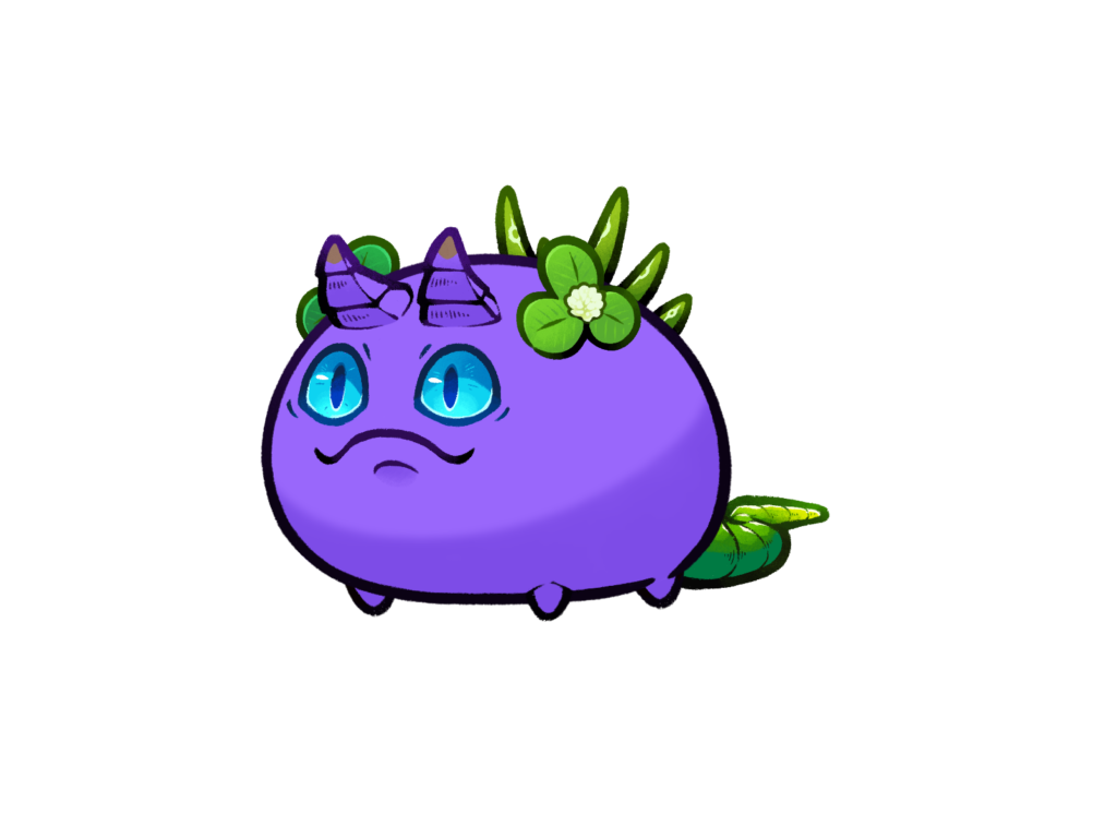 Axie 11114173