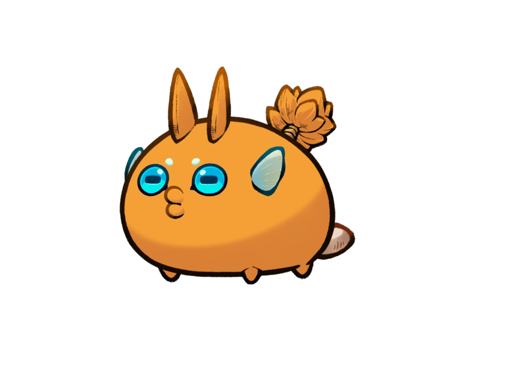 Axie 11116794