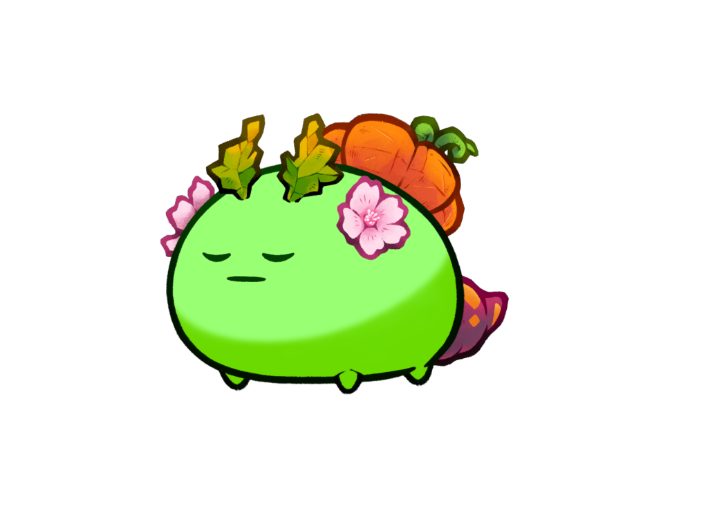 Axie 11132218