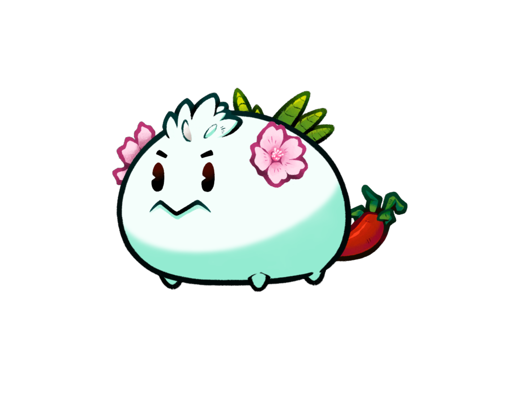 Axie 11138605