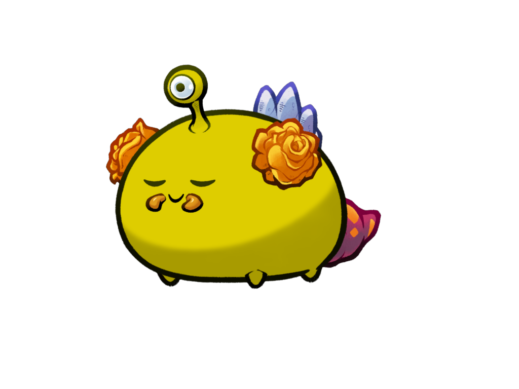 Axie 11176198