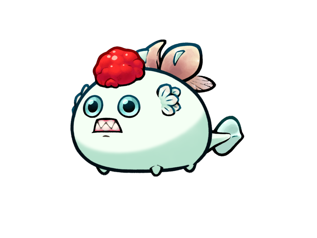 Axie 11182584