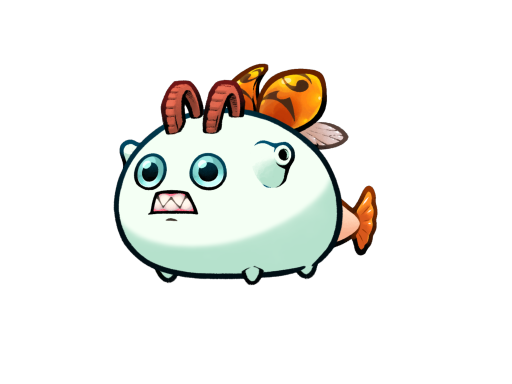Axie 11206888