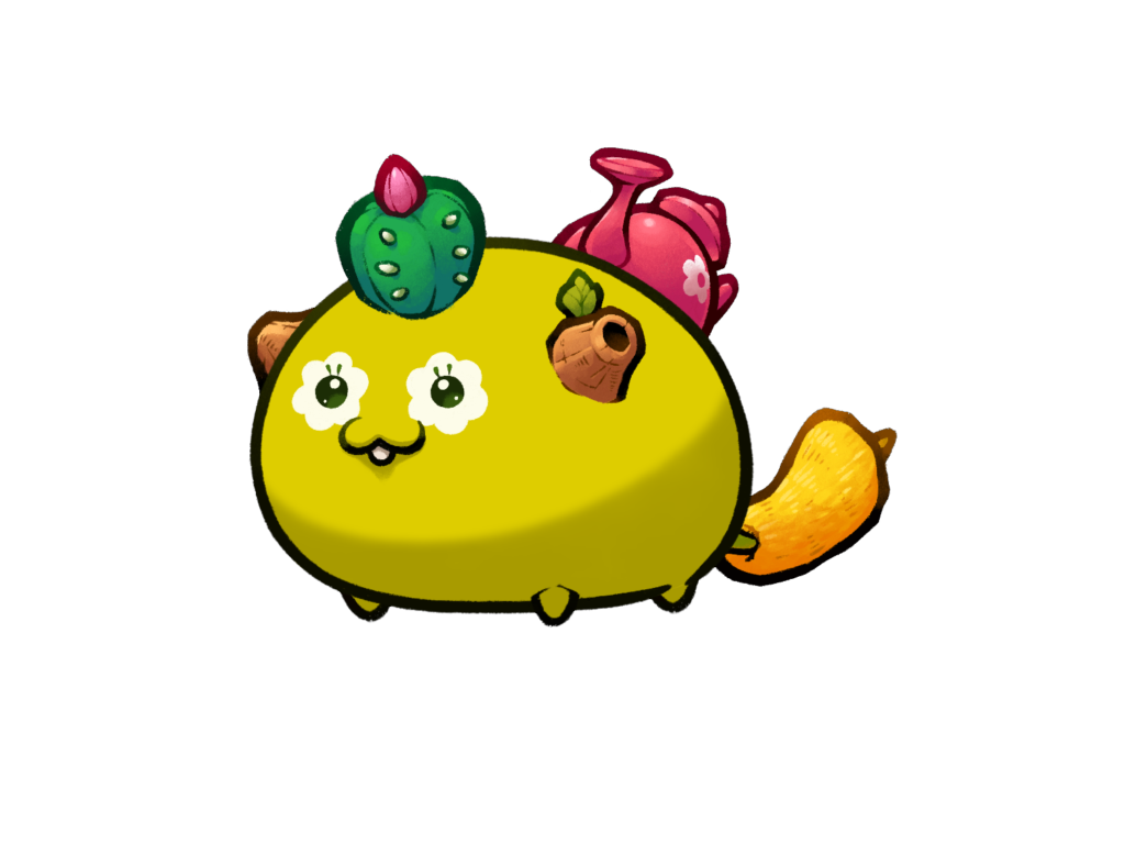 Axie Image