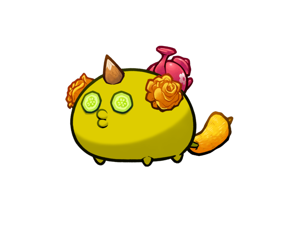 Axie 11237078