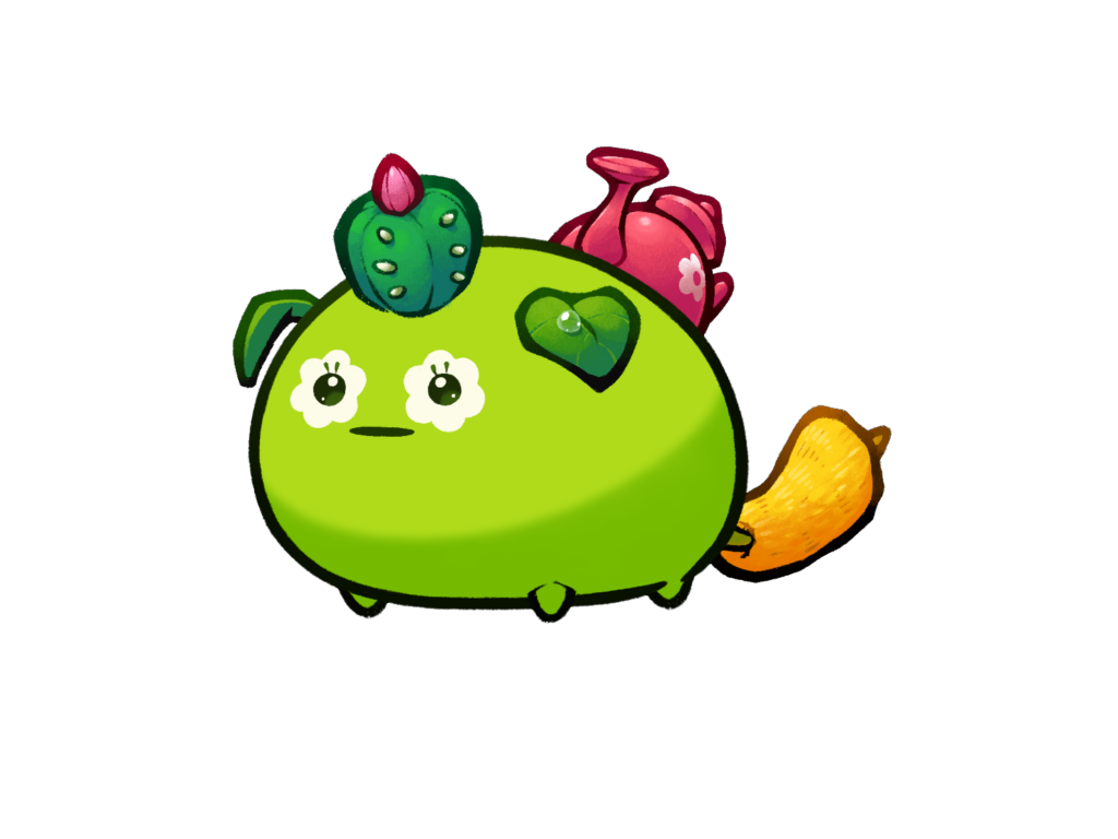 Axie 11244093