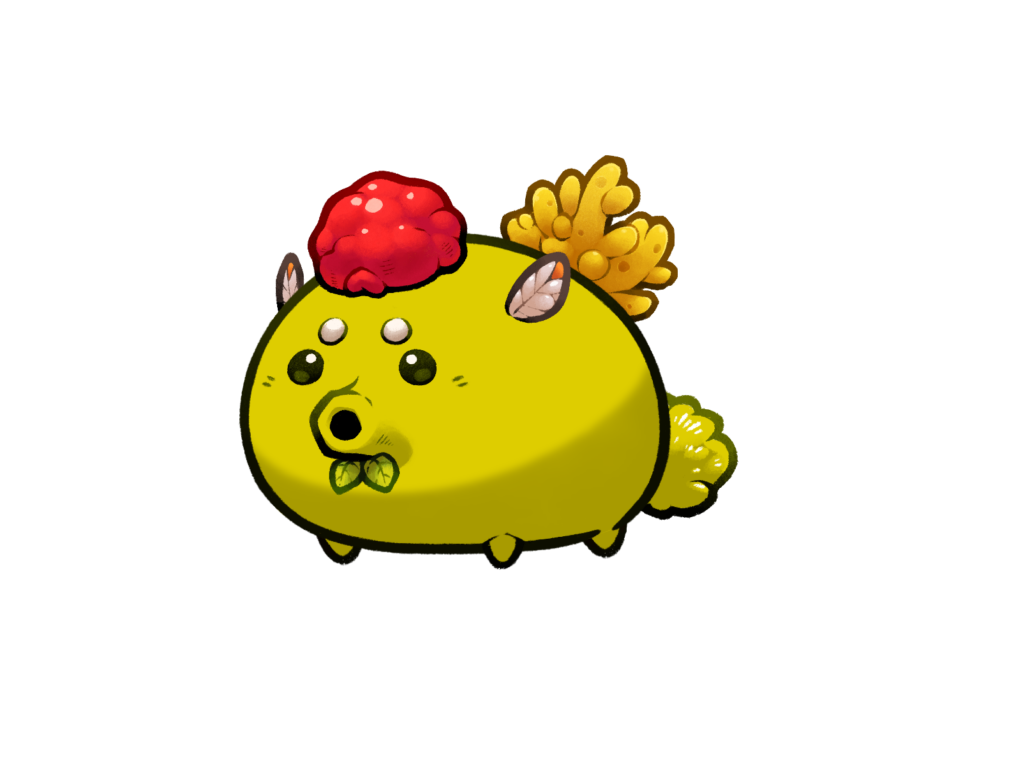 Axie 11270615