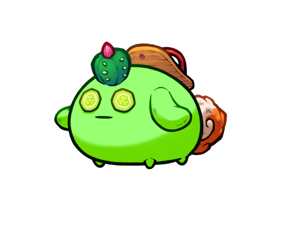 Axie 11278979