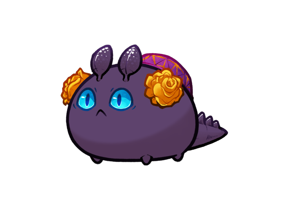 Axie 11283205