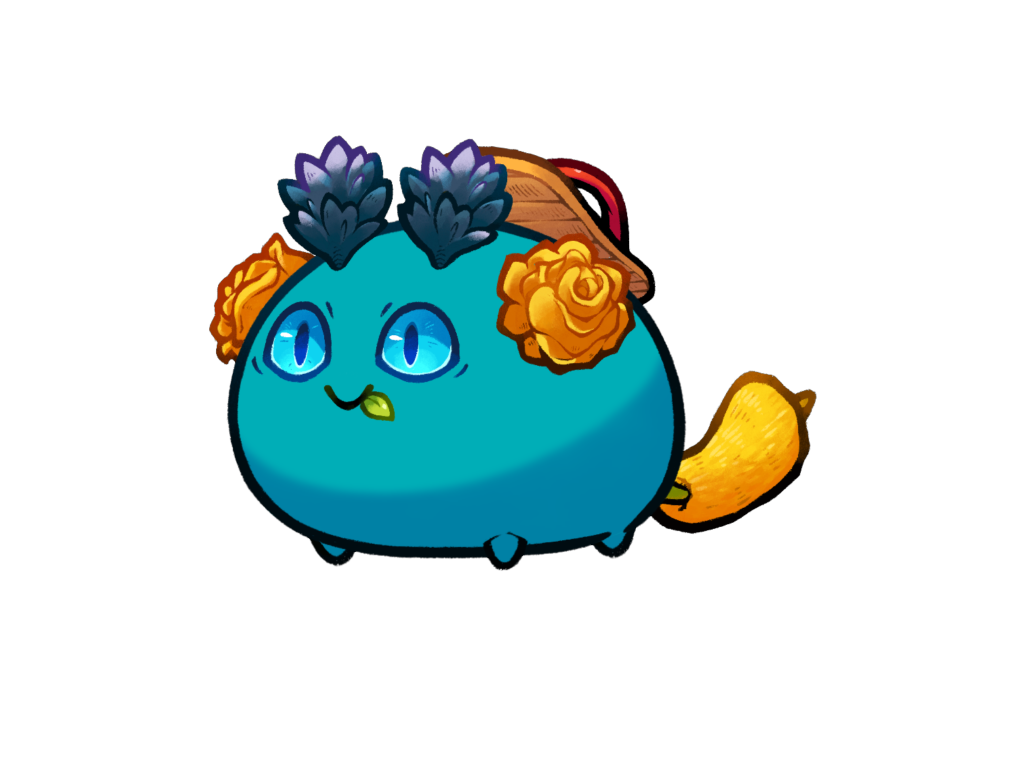 Axie 11289780