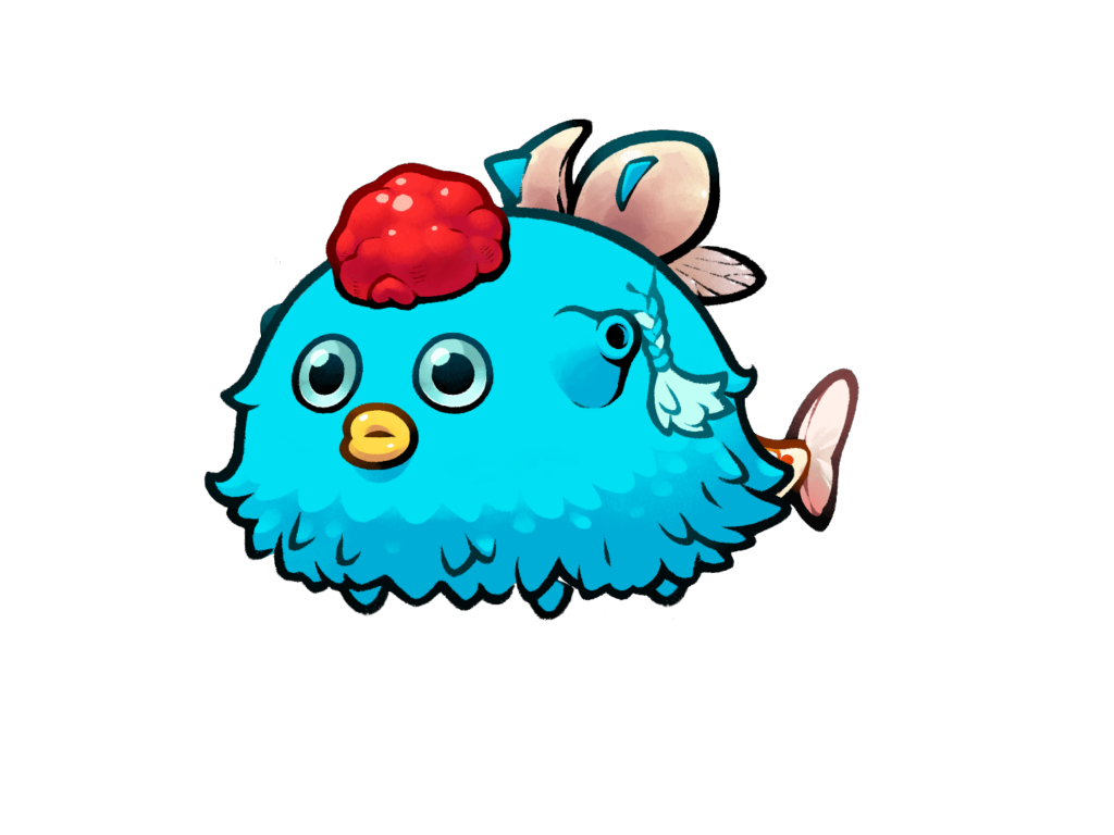 Axie 11296577