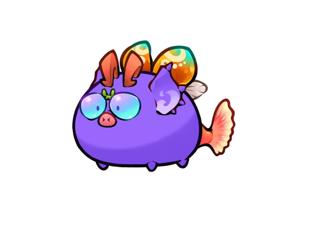 ☄️ Jengibre ☄️ ☄️ Jengibre ☄️