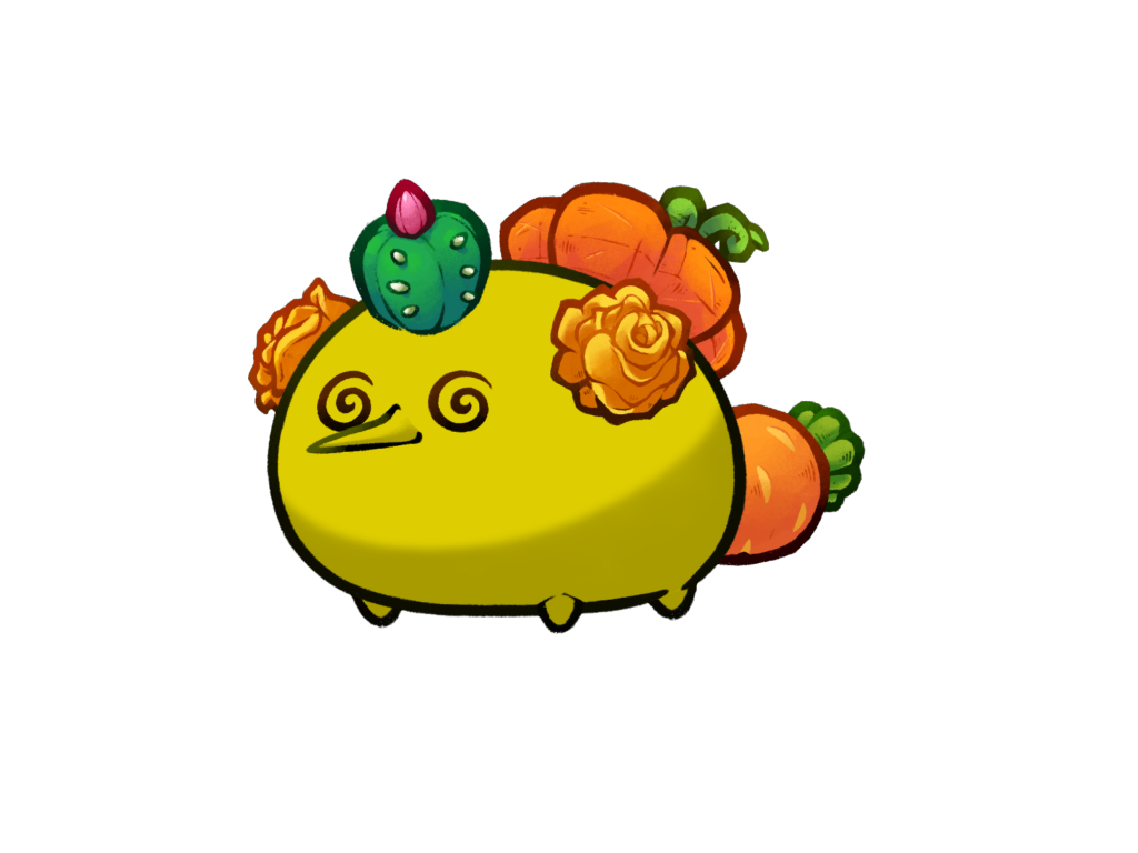 Axie Image