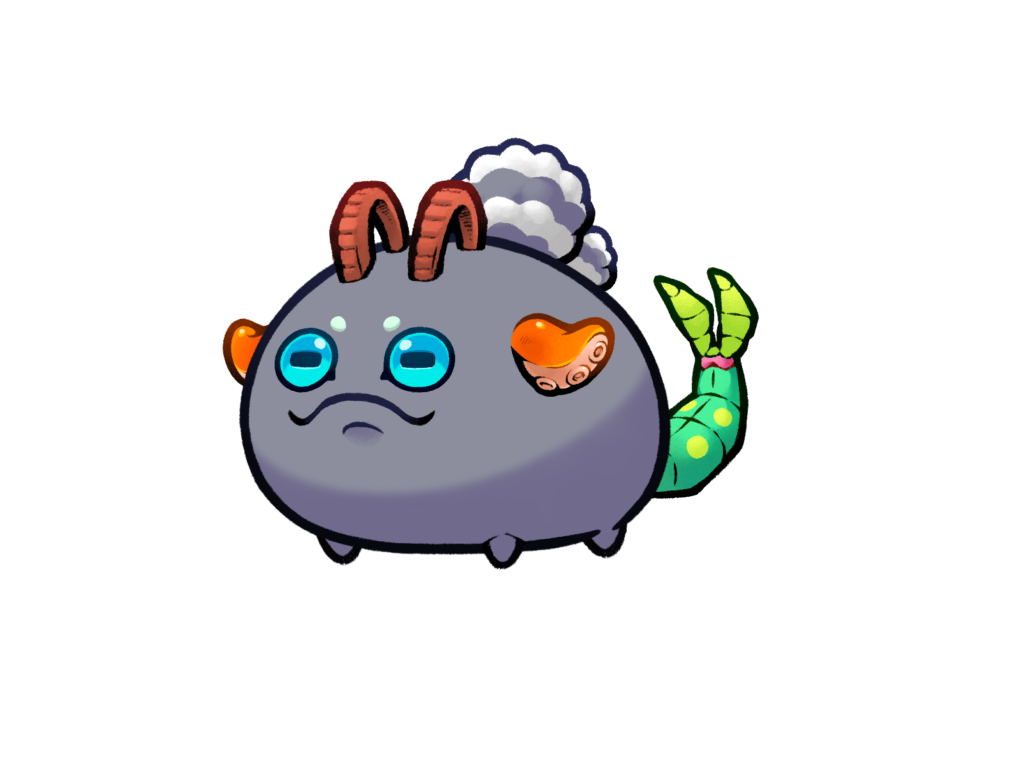 Axie 11313234