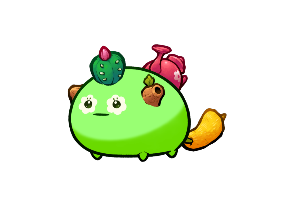 Axie 11314304