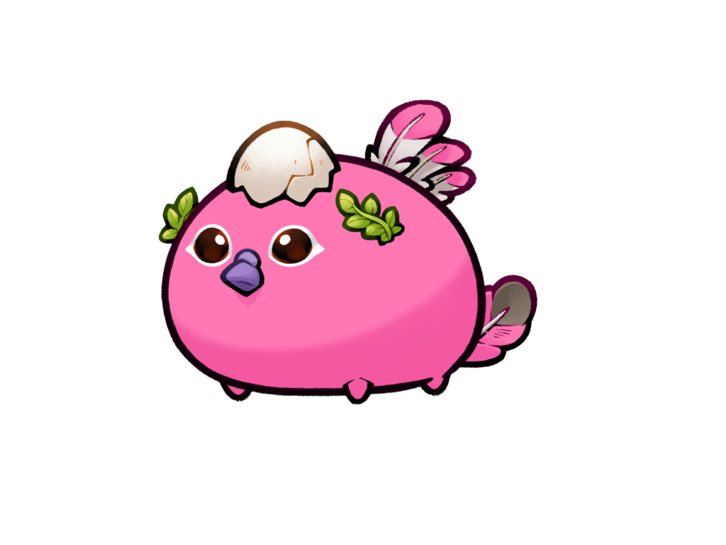 Axie 11323080