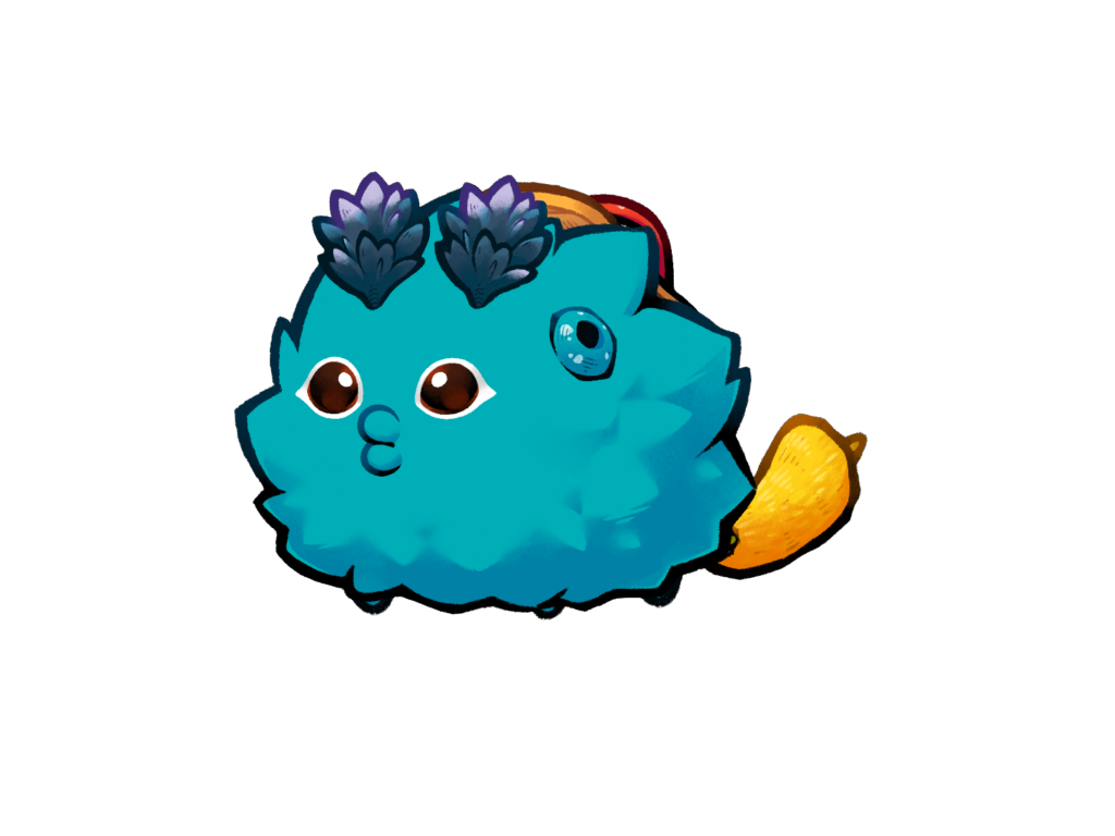 Axie 11343931