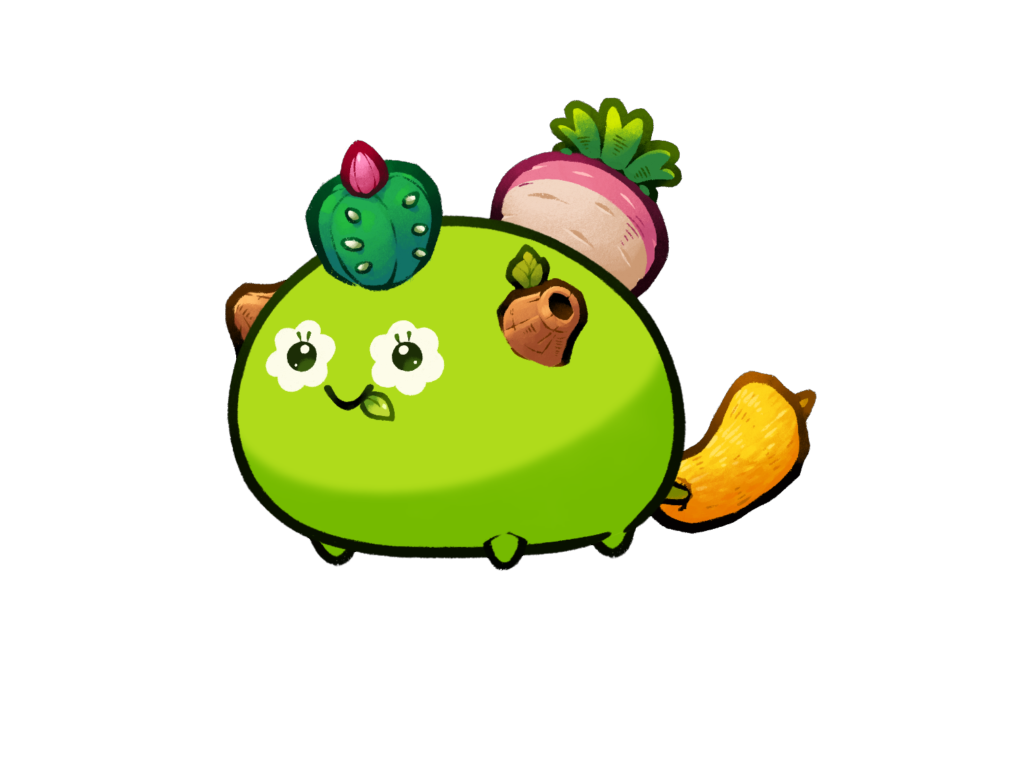 Axie 11351738