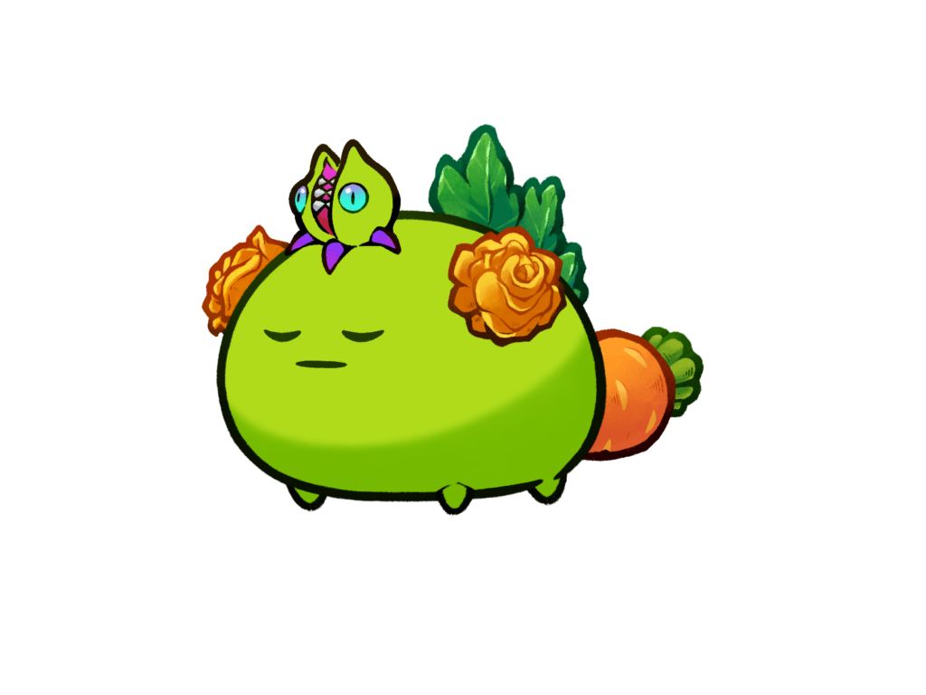 Axie 11353737