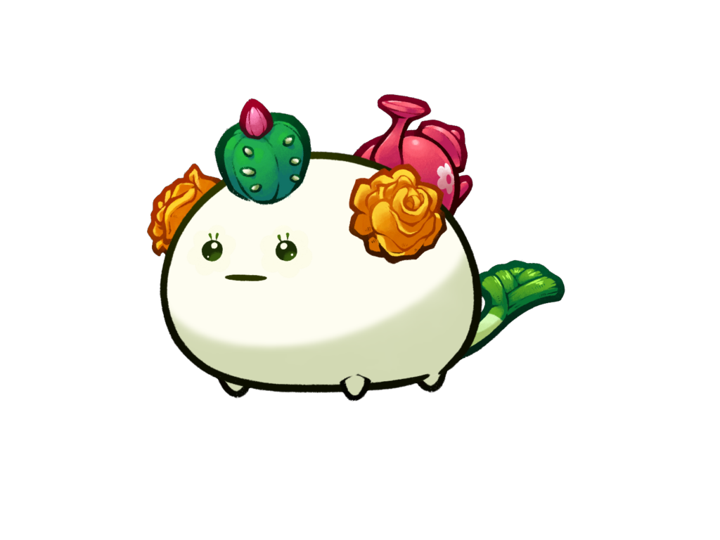 Axie Image