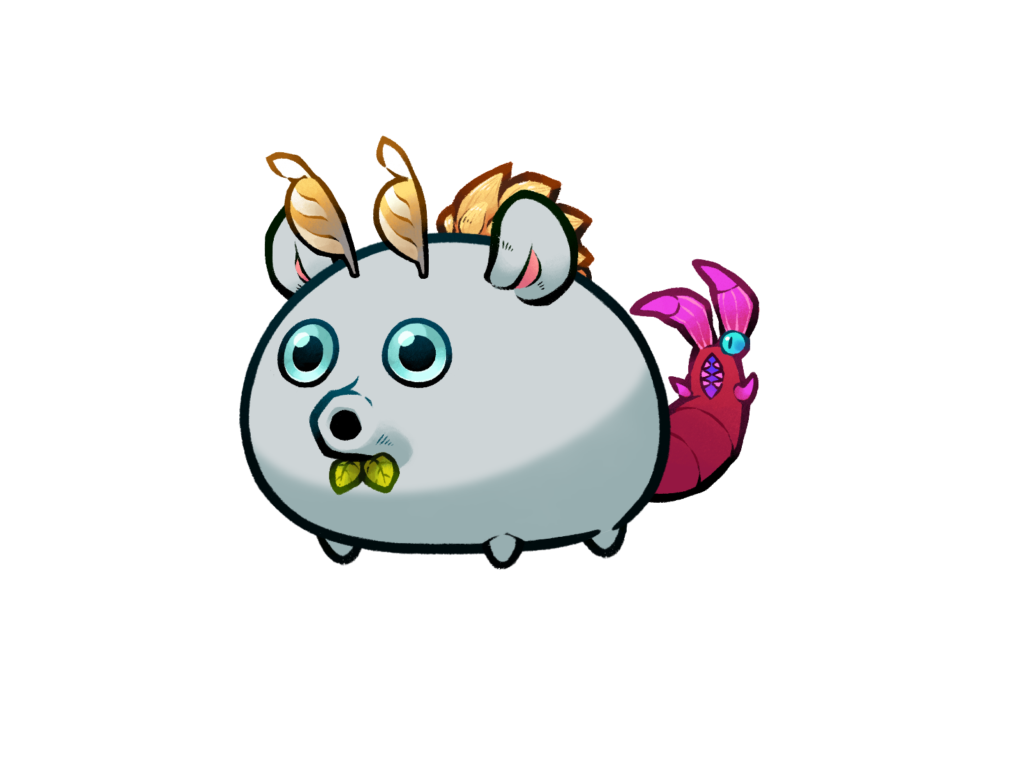 Axie 11361241