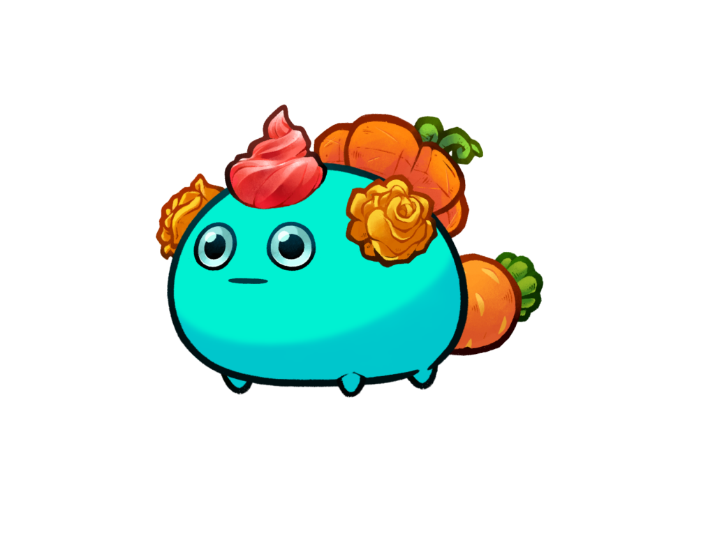 Axie 11362058