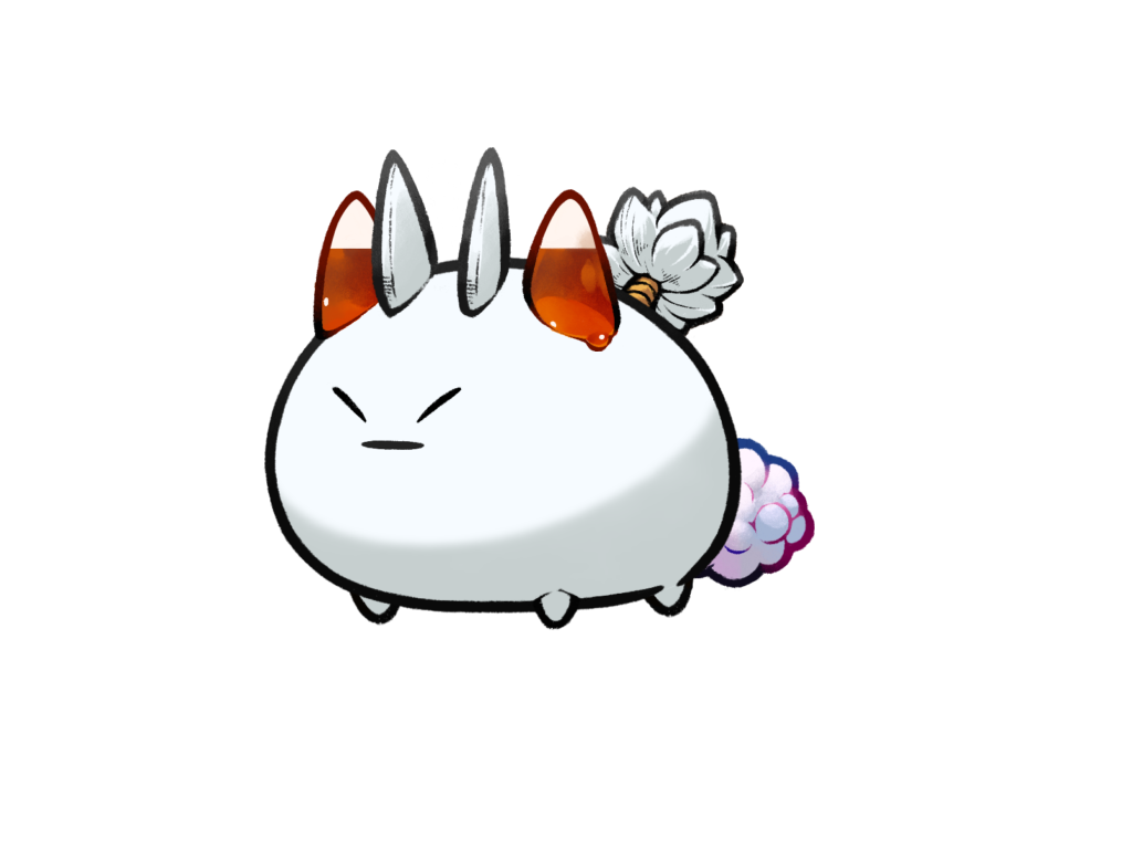Axie 11378981