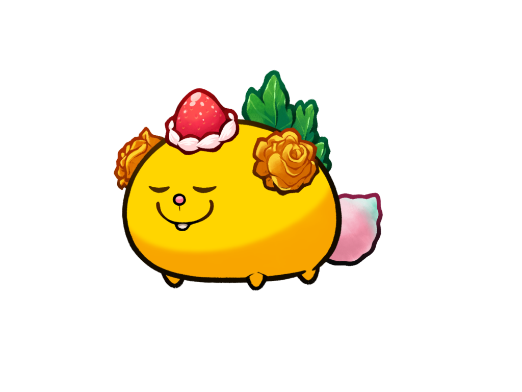 Axie 11382165