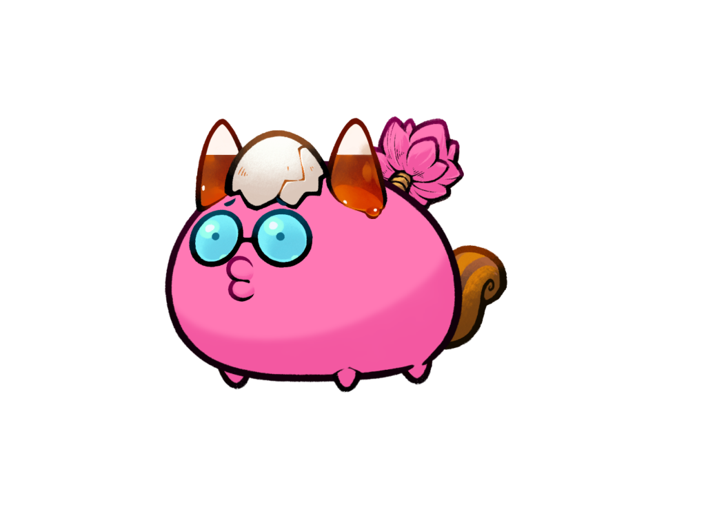 Axie 11383295