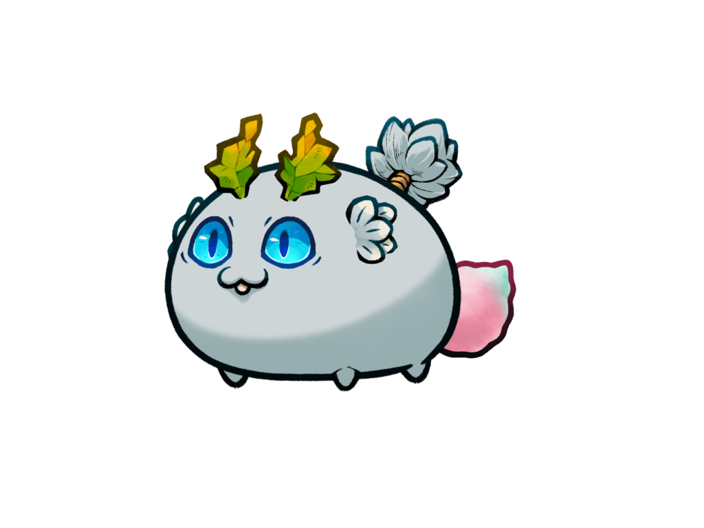 Axie 11402917