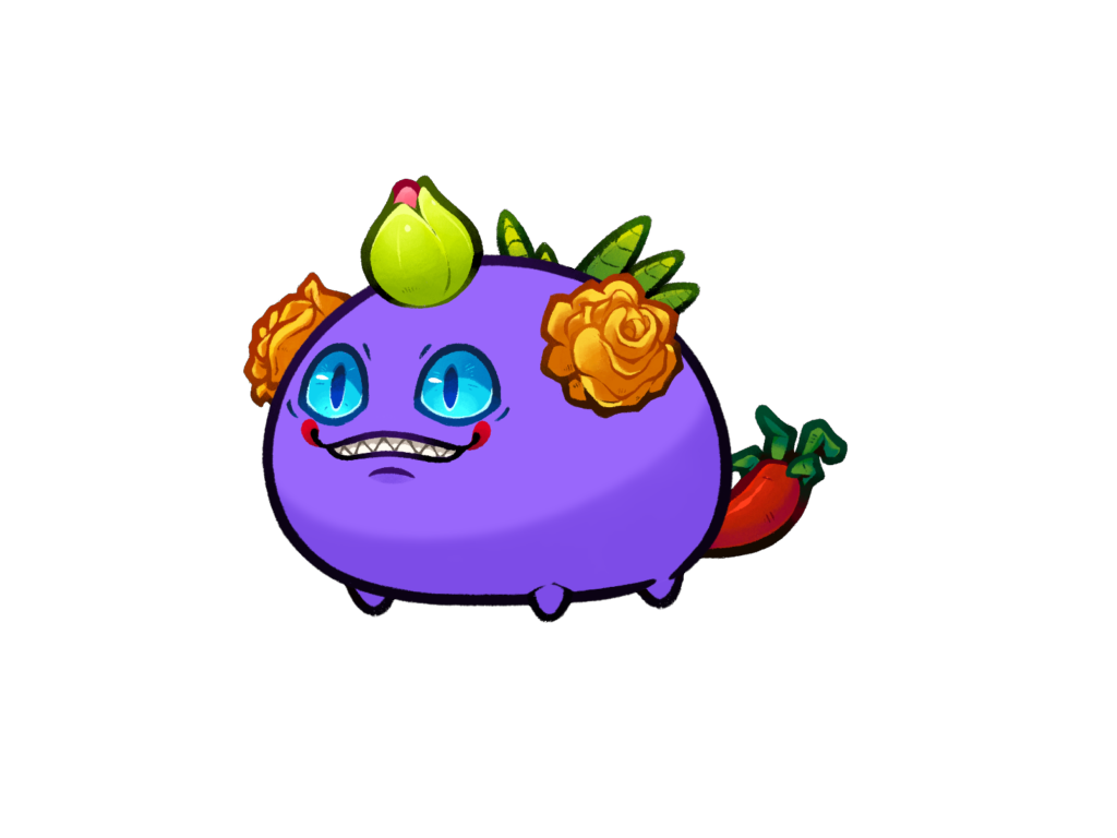 Axie Image